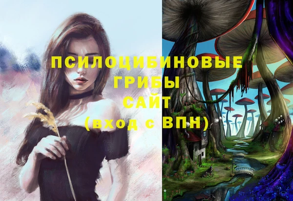 хмурый Арсеньев