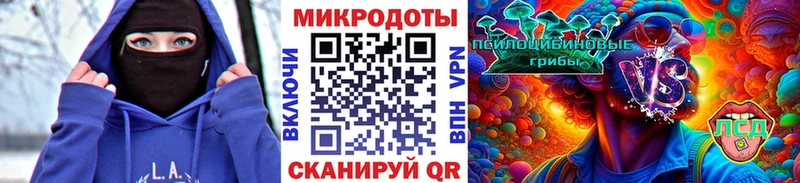 Купить где  Галич  Псилоцибиновые грибы Magic Shrooms 