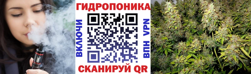 Бошки марихуана Amnesia  Купить закладки  Галич 